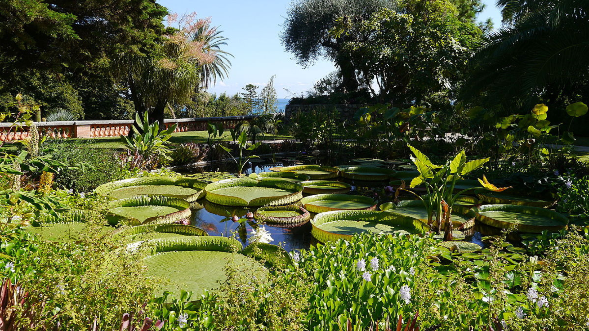 Les plus beaux jardins à visiter à Menton : un guide pour les amoureux de nature